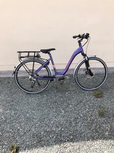 raleigh captus for sale